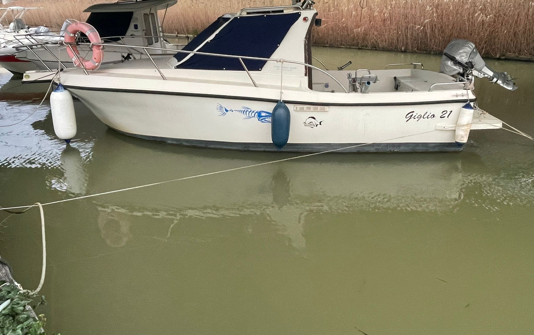 GIGLIO 21 + 140VM <br><a href=dettaglio.aspx?Id=123 >VAI ALLA SCHEDA</a>